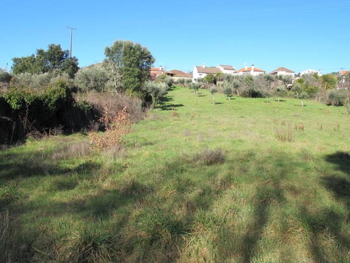 Image No.6-Terrain à vendre à Pedrógão Grande