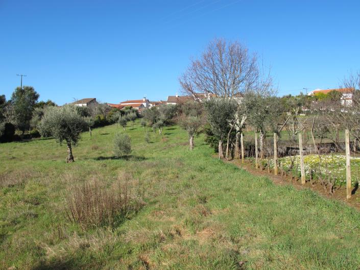 Image No.3-Terrain à vendre à Pedrógão Grande