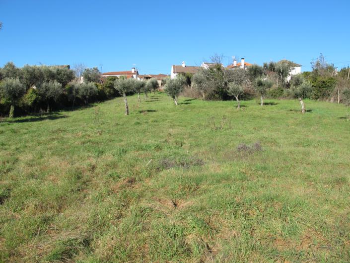 Image No.2-Terrain à vendre à Pedrógão Grande