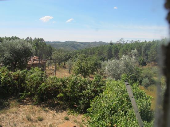 Image No.29-3 Bed House for sale