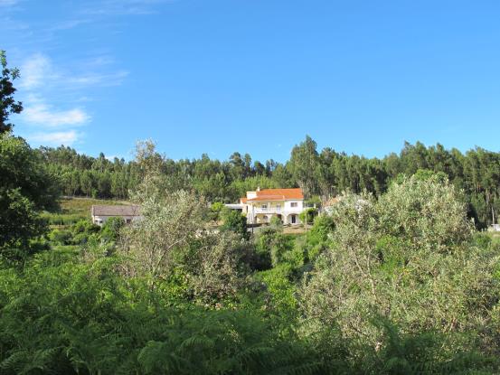 Image No.7-Maison de 5 chambres à vendre à Figueiró dos Vinhos