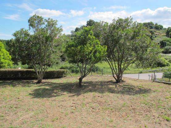 Image No.16-Maison de 5 chambres à vendre à Figueiró dos Vinhos