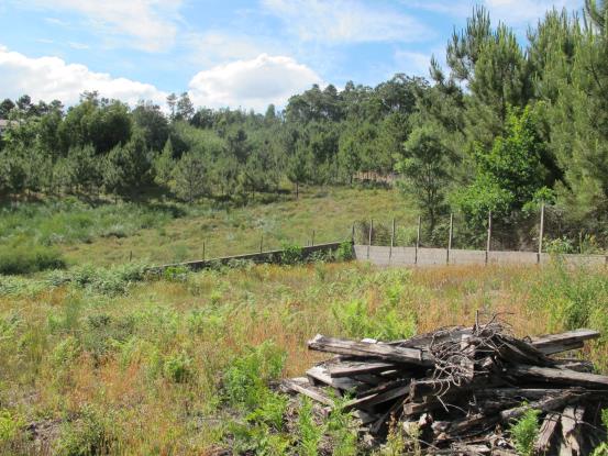 Image No.21-Maison de 5 chambres à vendre à Figueiró dos Vinhos
