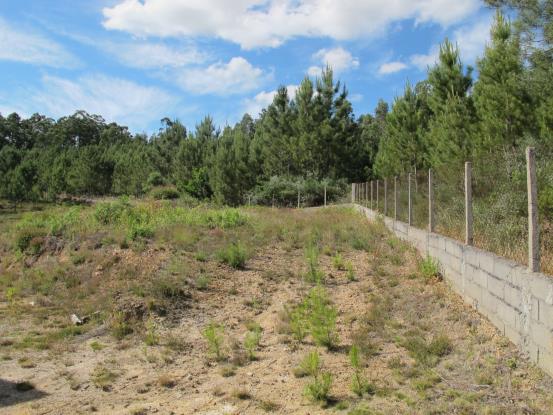 Image No.22-Maison de 5 chambres à vendre à Figueiró dos Vinhos
