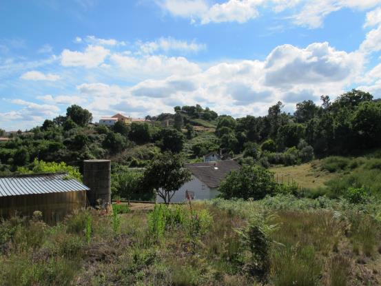 Image No.23-Maison de 5 chambres à vendre à Figueiró dos Vinhos