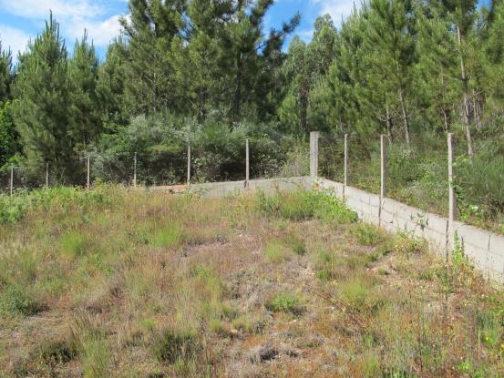 Image No.24-Maison de 5 chambres à vendre à Figueiró dos Vinhos