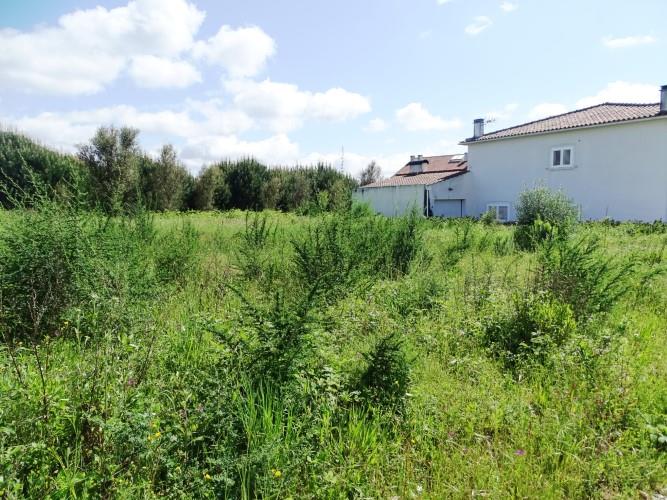 Image No.4-Plot for sale