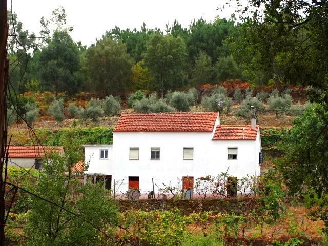 Image No.2-Propriété de pays de 3 chambres à vendre à Oleiros
