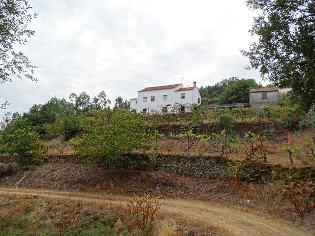 Image No.6-Propriété de pays de 3 chambres à vendre à Oleiros