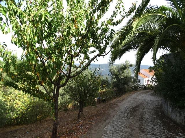 Image No.3-Propriété de pays de 3 chambres à vendre à Oleiros