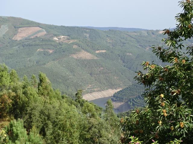 Image No.5-Propriété de pays de 3 chambres à vendre à Oleiros