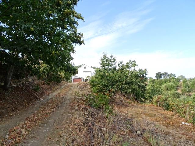 Image No.8-Propriété de pays de 3 chambres à vendre à Oleiros