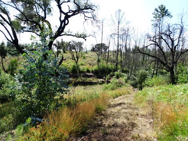 Image No.6-Propriété de 2 chambres à vendre à Pedrógão Grande