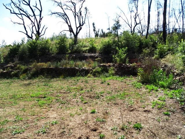 Image No.10-Propriété de 2 chambres à vendre à Pedrógão Grande