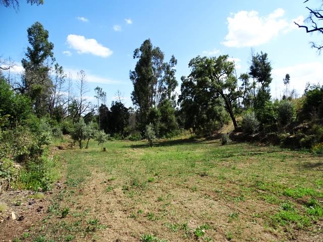 Image No.7-Propriété de 2 chambres à vendre à Pedrógão Grande