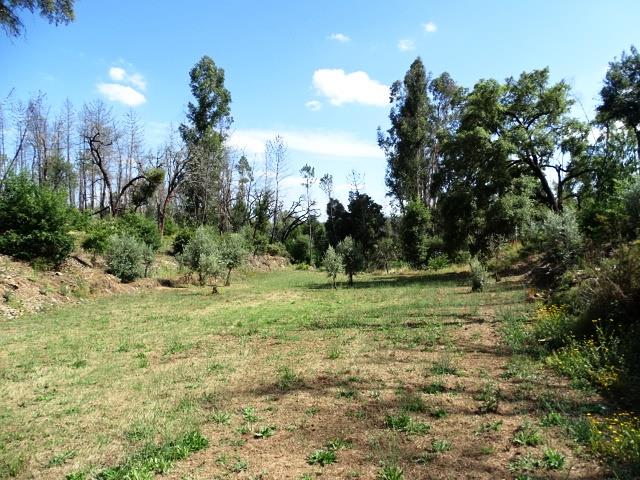 Image No.8-Propriété de 2 chambres à vendre à Pedrógão Grande