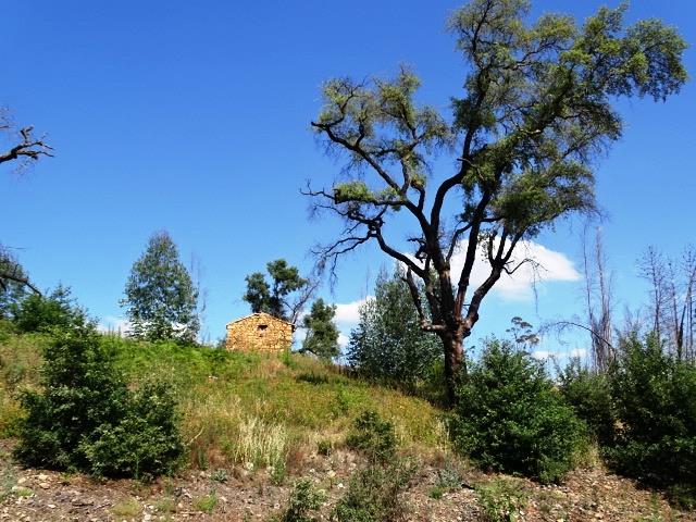 Image No.5-Propriété de 2 chambres à vendre à Pedrógão Grande