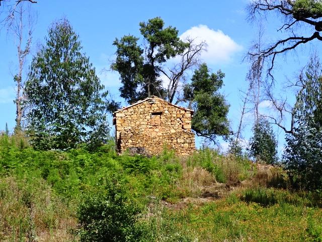 Image No.12-Propriété de 2 chambres à vendre à Pedrógão Grande