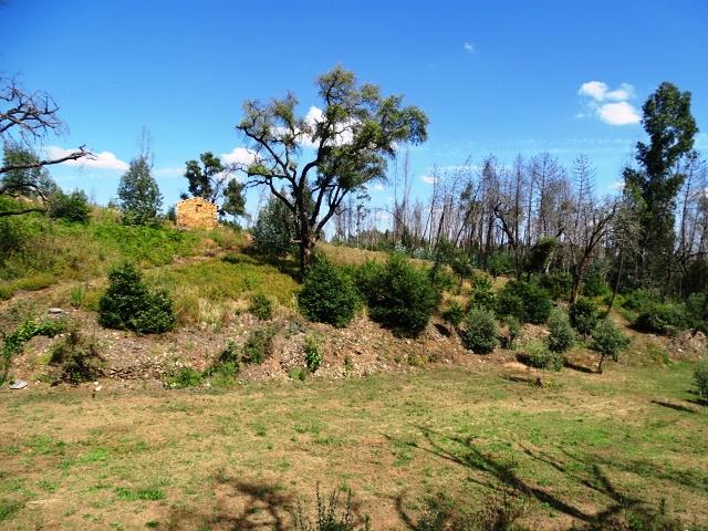Image No.13-Propriété de 2 chambres à vendre à Pedrógão Grande