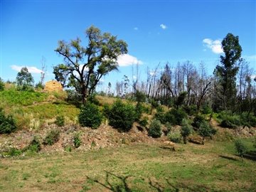 Propriété de 2 chambres à vendre à Pedrógão Grande
