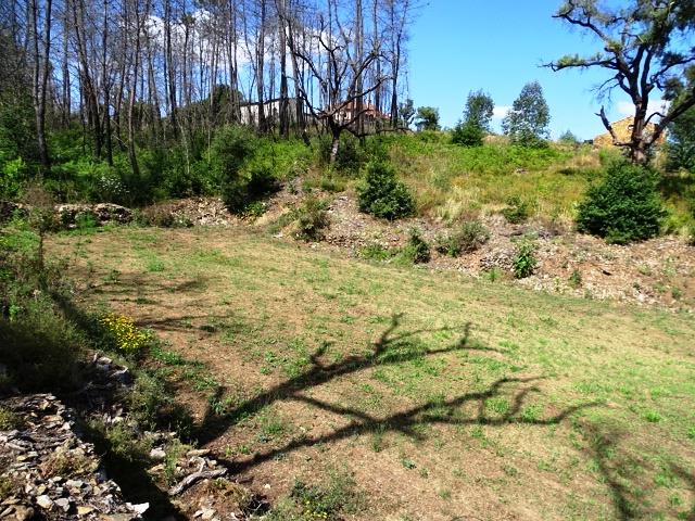 Image No.14-Propriété de 2 chambres à vendre à Pedrógão Grande