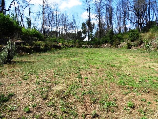 Image No.15-Propriété de 2 chambres à vendre à Pedrógão Grande