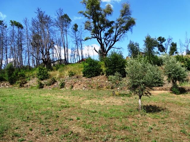 Image No.18-Propriété de 2 chambres à vendre à Pedrógão Grande