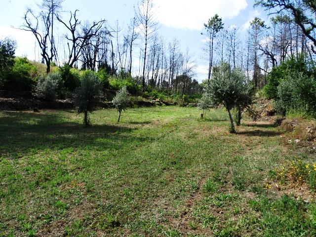 Image No.19-Propriété de 2 chambres à vendre à Pedrógão Grande