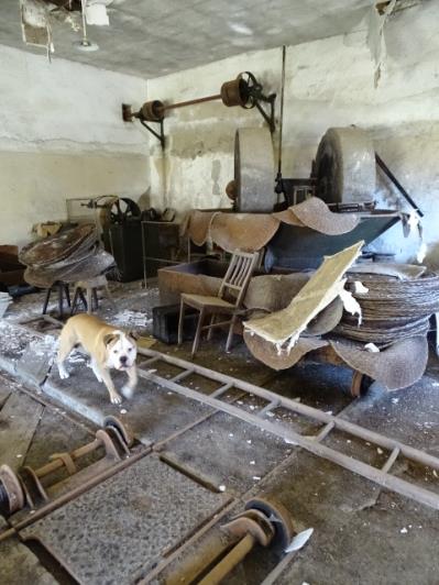 Image No.12-Propriété de pays à vendre à Góis