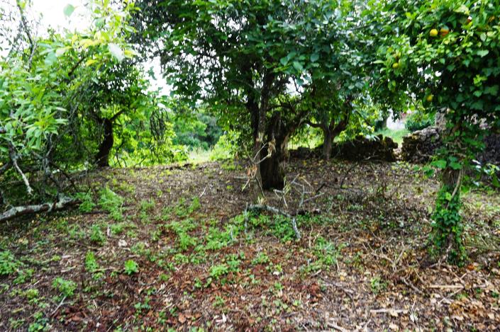 Image No.11-Chalet de 1 chambre à vendre à Condeixa-a-Nova