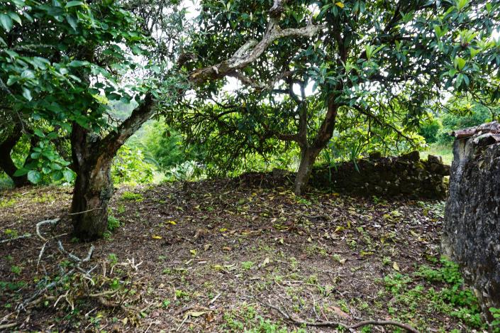 Image No.12-Chalet de 1 chambre à vendre à Condeixa-a-Nova