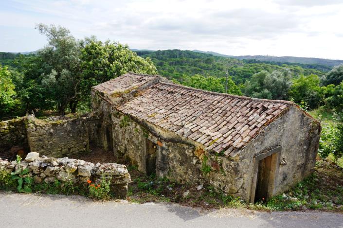 Image No.2-Chalet de 1 chambre à vendre à Condeixa-a-Nova
