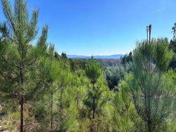 1 - Pedrógão Grande, Land