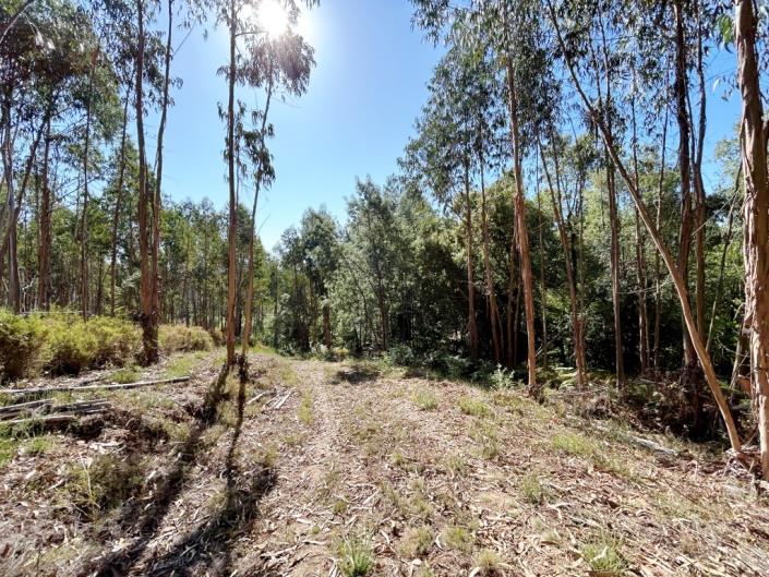 Image No.5-Land for sale