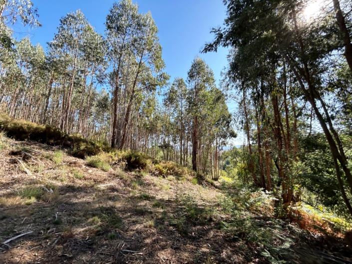 Image No.7-Land for sale