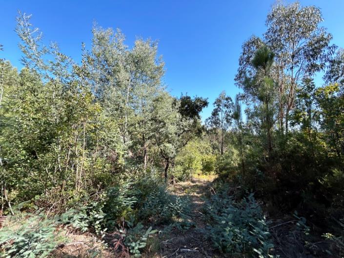 Image No.14-Land for sale