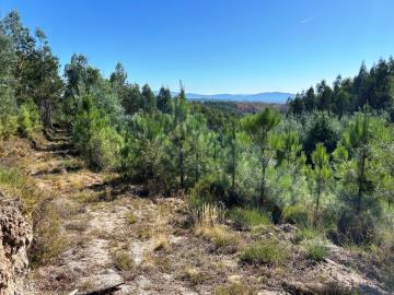 1 - Pedrógão Grande, Land