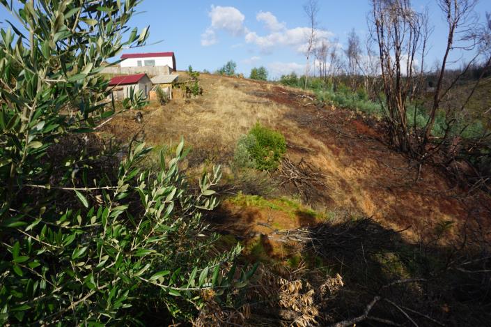 Image No.19-Propriété à vendre à Pedrógão Grande