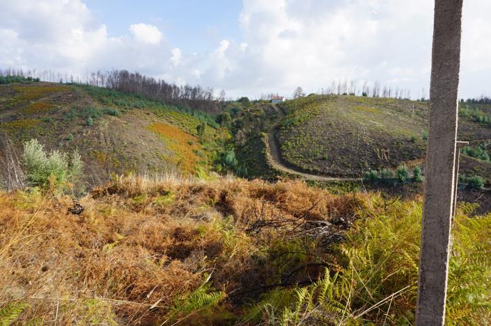 Image No.7-Propriété à vendre à Pedrógão Grande