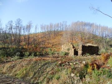 Terre à vendre à Pedrógão Grande