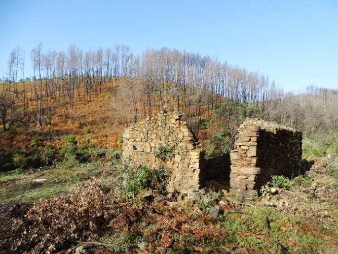 Image No.2-Terre à vendre à Pedrógão Grande