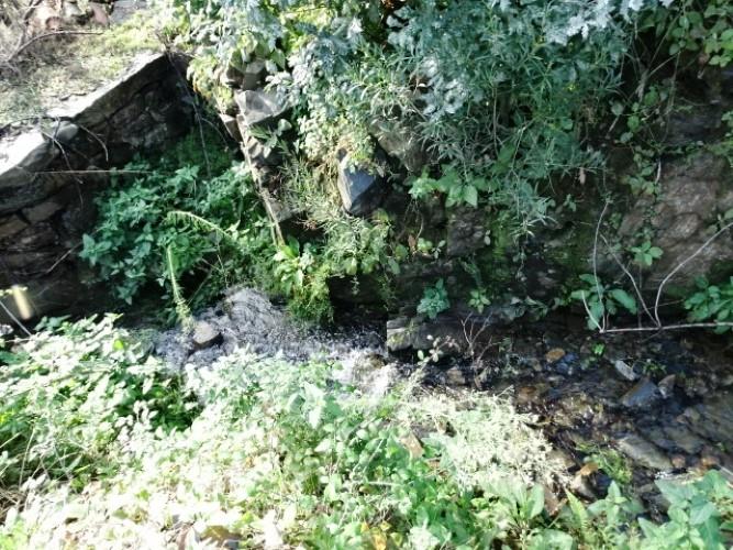 Image No.7-Terre à vendre à Pedrógão Grande