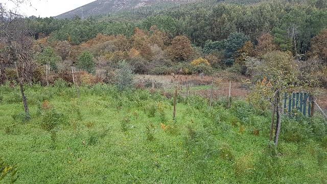 Image No.9-Villa de 4 chambres à vendre à Castanheira de Pêra