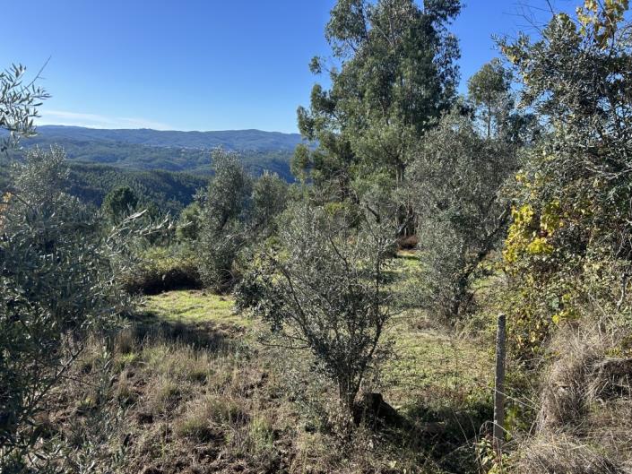 Image No.3-Plot for sale