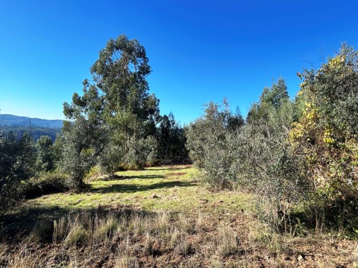 Image No.4-Plot for sale