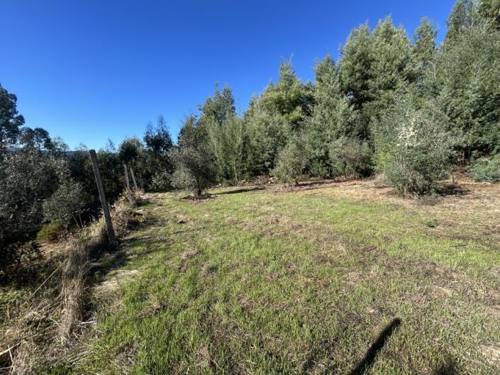 Image No.5-Plot for sale