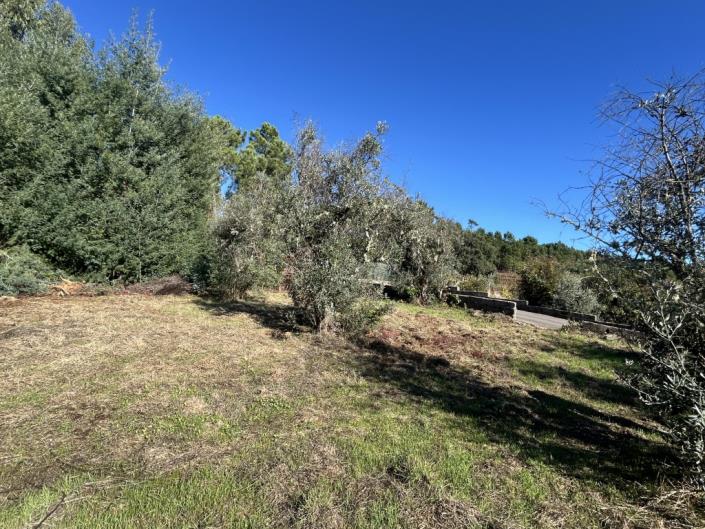 Image No.6-Plot for sale