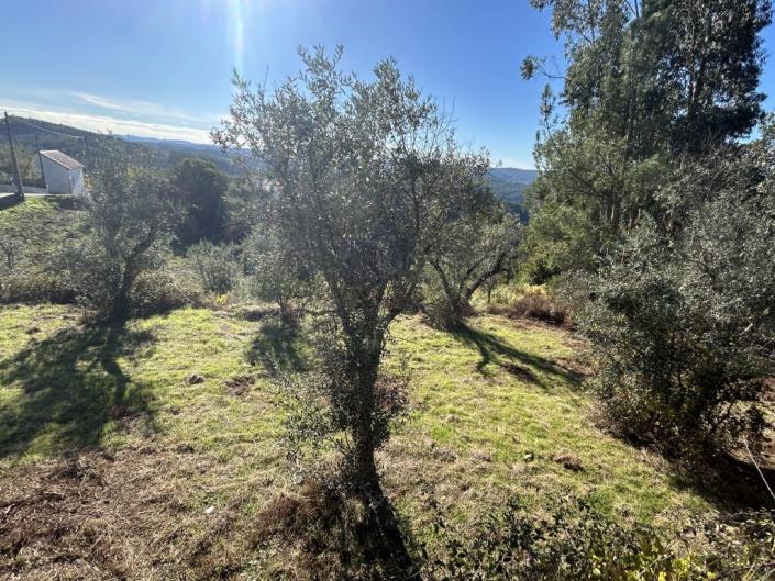 Image No.7-Plot for sale