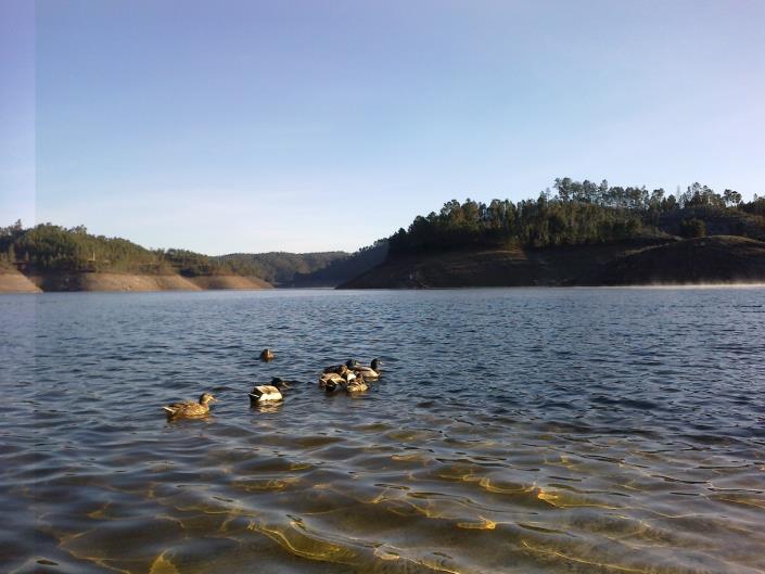 Image No.16-Terrain à vendre à Pedrógão Grande