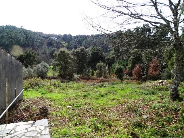 Image No.12-Terrain à vendre à Pedrógão Grande